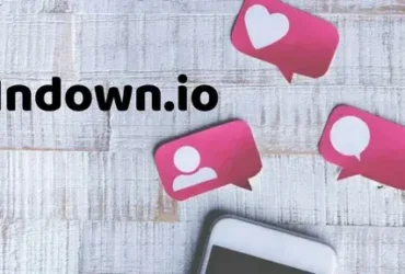 Indown.io